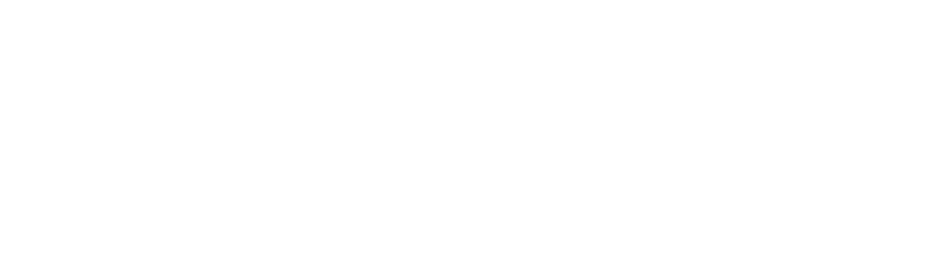 21CARS Logo Footer weiss
